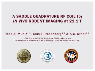 A SADDLE QUADRATURE RF COIL for IN VIVO RODENT IMAGING at 21.1 T