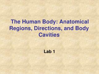 The Human Body: Anatomical Regions, Directions, and Body Cavities