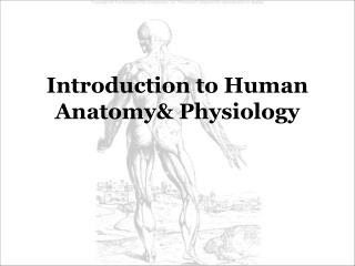 Introduction to Human Anatomy&amp; Physiology
