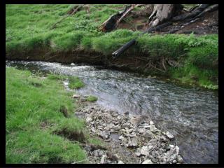 Development of a Catchment Contaminant Cycle Model End-User Survey: Preliminary Results