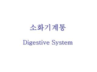 소화기계통 Digestive System