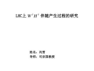 LHC 上 伴随产生过程的研究