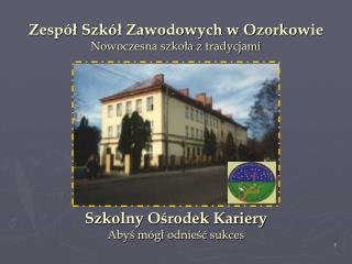 Zespół Szkół Zawodowych w Ozorkowie Nowoczesna szkoła z tradycjami