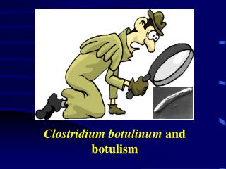 Clostridium botulinum and botulism