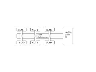 NLM Softwarebuss