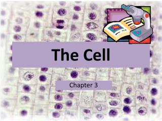 The Cell