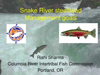 Snake River steelhead Management goals