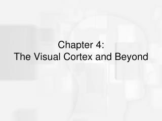 Chapter 4: The Visual Cortex and Beyond