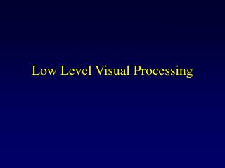 Low Level Visual Processing