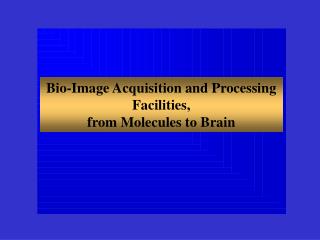 Bio-Image Acquisition and Processing Facilities, from Molecules to Brain
