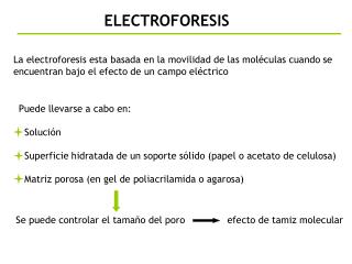 ELECTROFORESIS