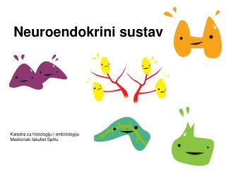 Neuroendokrini sustav