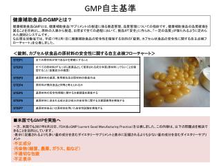 GMP 自主基準