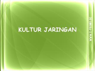 KULTUR JARINGAN