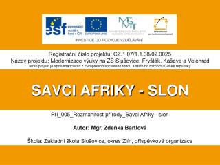 SAVCI AFRIKY - SLON