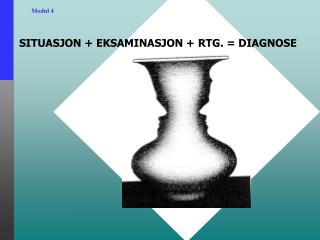 SITUASJON + EKSAMINASJON + RTG. = DIAGNOSE