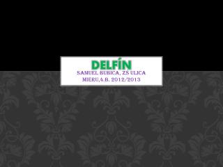 Delfín