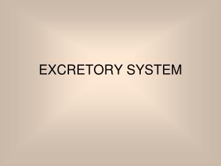 EXCRETORY SYSTEM