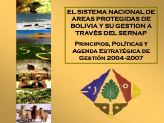 EL SISTEMA NACIONAL DE AREAS PROTEGIDAS DE BOLIVIA Y SU GESTION A TRAVÉS DEL SERNAP