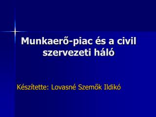 Munkaerő-piac és a civil szervezeti háló