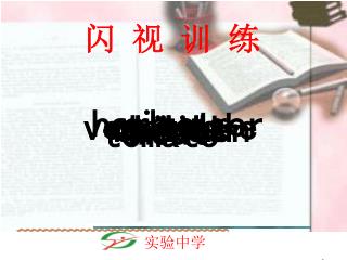 闪 视 训 练