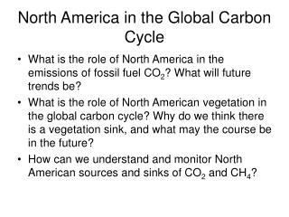 North America in the Global Carbon Cycle