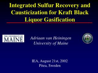 Adriaan van Heiningen University of Maine IEA, August 21st, 2002 Pitea, Sweden