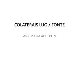 COLATERAIS LUO / FONTE