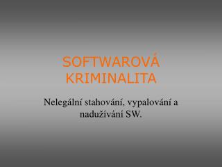 SOFTWAROVÁ KRIMINALITA