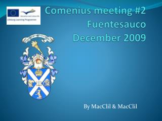 Comenius meeting #2 Fuentesauco December 2009