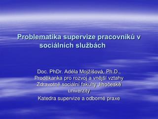 Problematika supervize pracovníků v sociálních službách