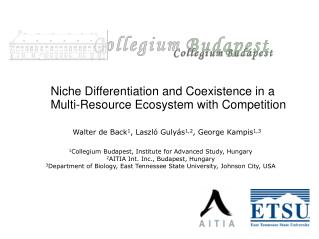 Niche Differentiation and Coexistence in a Multi-Resource Ecosystem with Competition