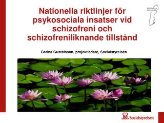 Nationella riktlinjer för psykosociala insatser vid schizofreni och schizofreniliknande tillstånd