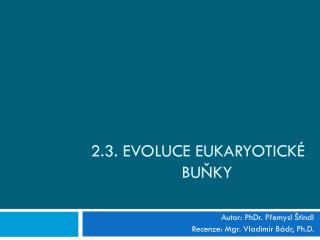 2.3. Evoluce eukaryotické 			buňky