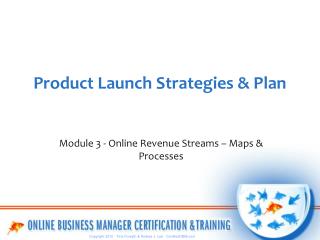 Product Launch Strategies &amp; Plan
