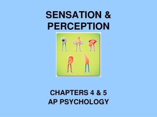SENSATION &amp; PERCEPTION