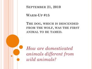How are domesticated animals different from wild animals?