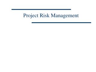 Project Risk Management