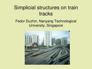 Simplicial structures on train tracks