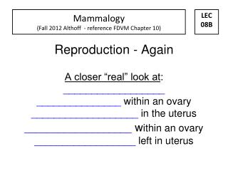 Mammalogy (Fall 2012 Althoff - reference FDVM Chapter 10)