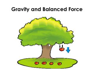Gravity and Balanced Force