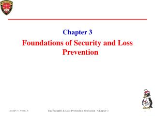 Chapter 3 Foundations of Security and Loss Prevention