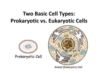Two Basic Cell Types: Prokaryotic vs. Eukaryotic Cells