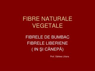 FIBRE NATURALE VEGETALE