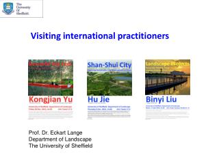 V isiting international practitioners