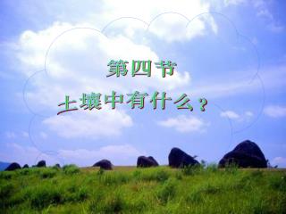 第四节 土壤中有什么？