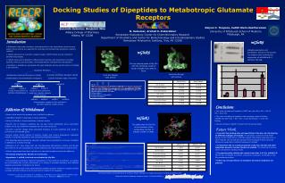 Docking Studies of Dipeptides to Metabotropic Glutamate Receptors