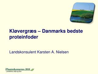 Kløvergræs – Danmarks bedste proteinfoder