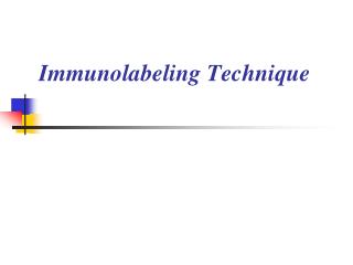 Immunolabeling Technique