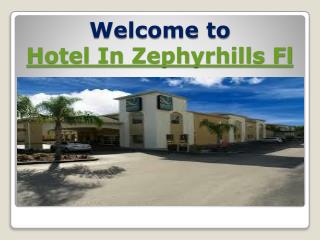 hotel in zephyrhills fl